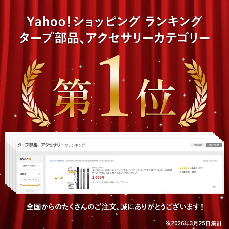 EIZER CAMP（アイゼルキャンプ） タープポール 2本セット ブラック