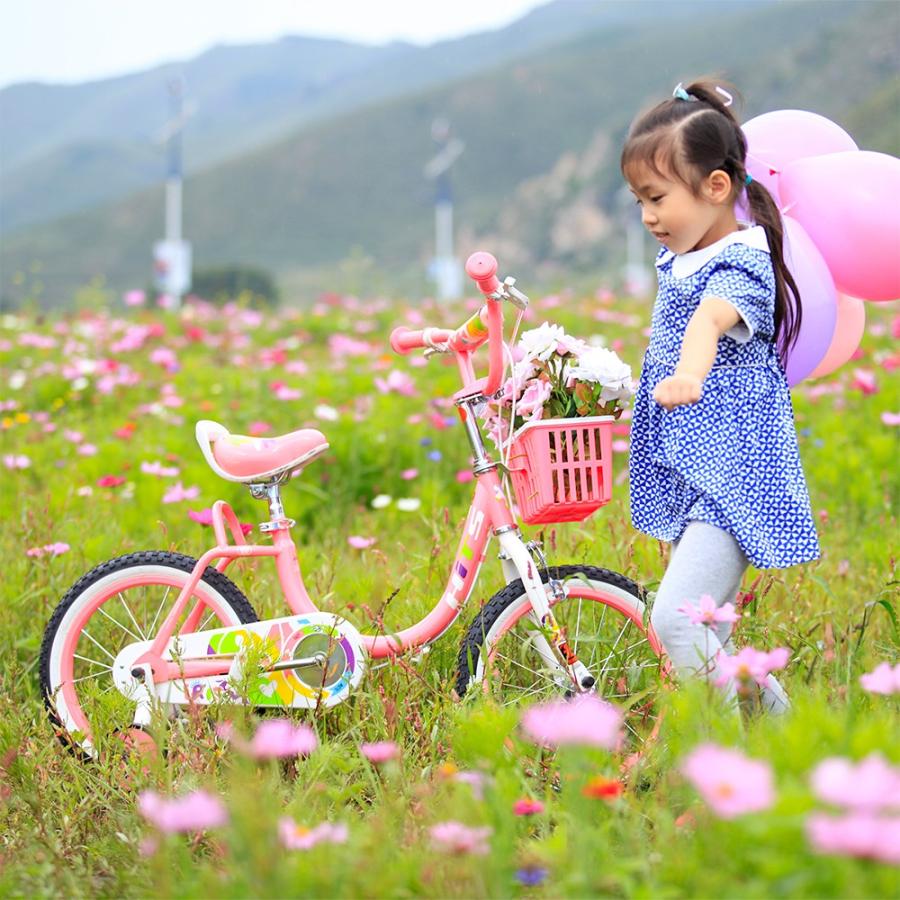 子供用 自転車 アウトレット 女の子 可愛い ピンク 赤 16インチ 補助輪付き カゴ 4歳 5歳 6歳 7歳 8歳 9歳 Iris 16 自転車の一勝堂 通販 Yahoo ショッピング