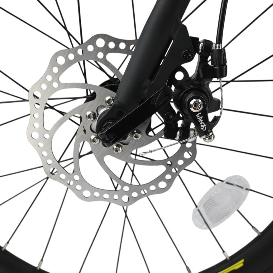 EIZER ミニベロ 軽量 20インチ 自転車 小径車 8段変速 EIZER ミニベロ 軽量 20インチ 自転車 小径車 8段変速