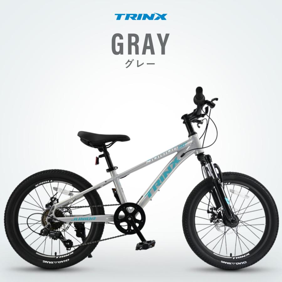子ども用自転車 20インチ マウンテンバイク MTB ダブルディスク 子ども用自転車 20インチ マウンテンバイク MTB ダブルディスク
