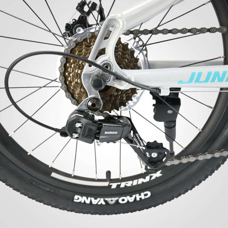 子ども用自転車 20インチ マウンテンバイク MTB ダブルディスク
