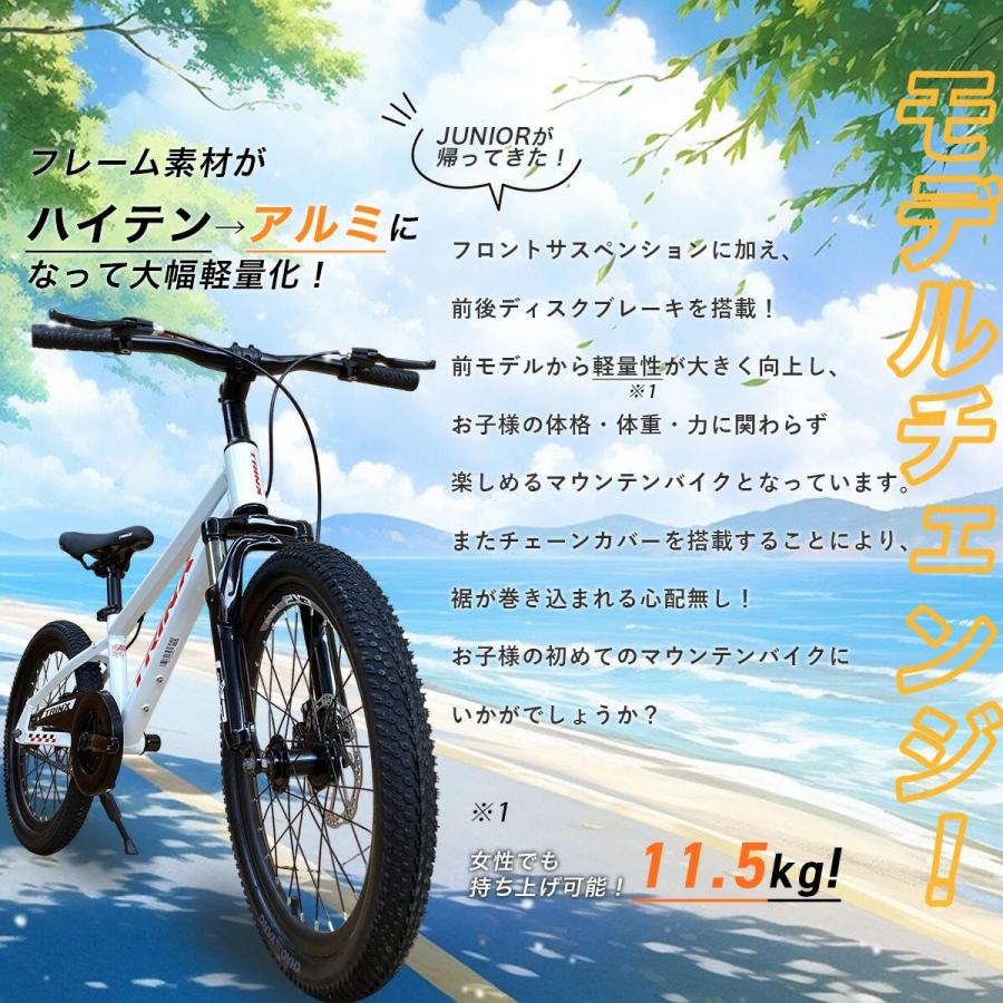本格派マウンテンバイク ダブルディスクブレーキ サスペンション 本格派マウンテンバイク ダブルディスクブレーキ サスペンション