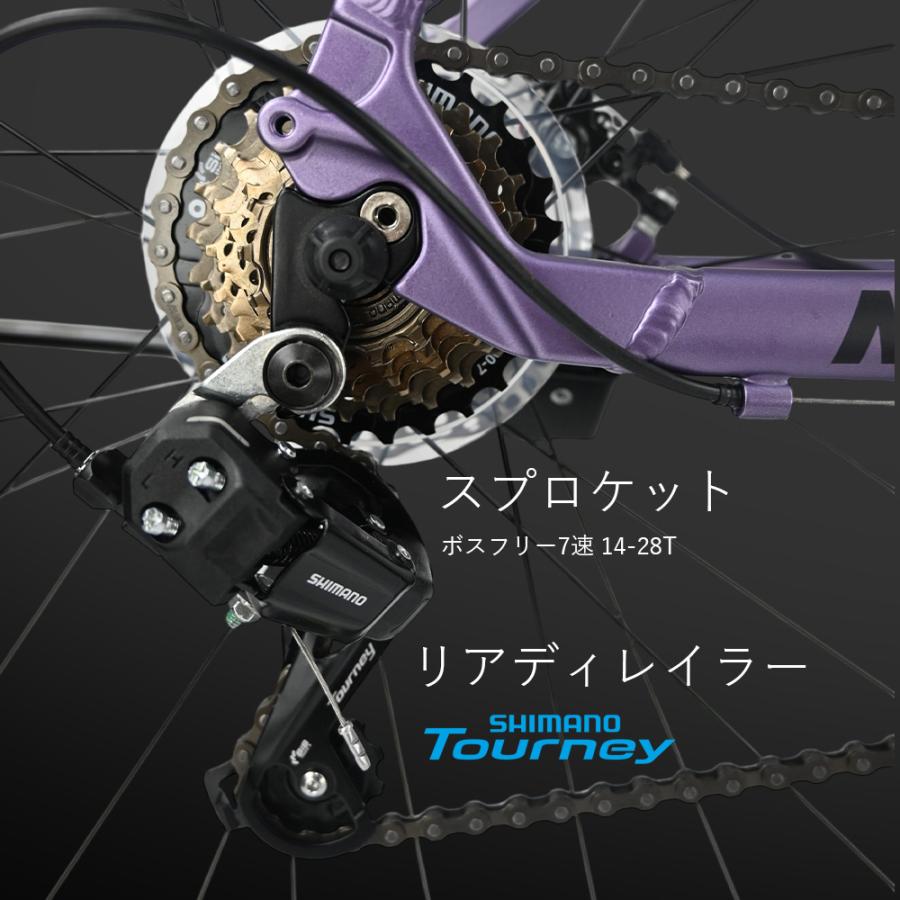 TRINX（トリンクス） マウンテンバイク 自転車 MTB 29インチ シマノ21