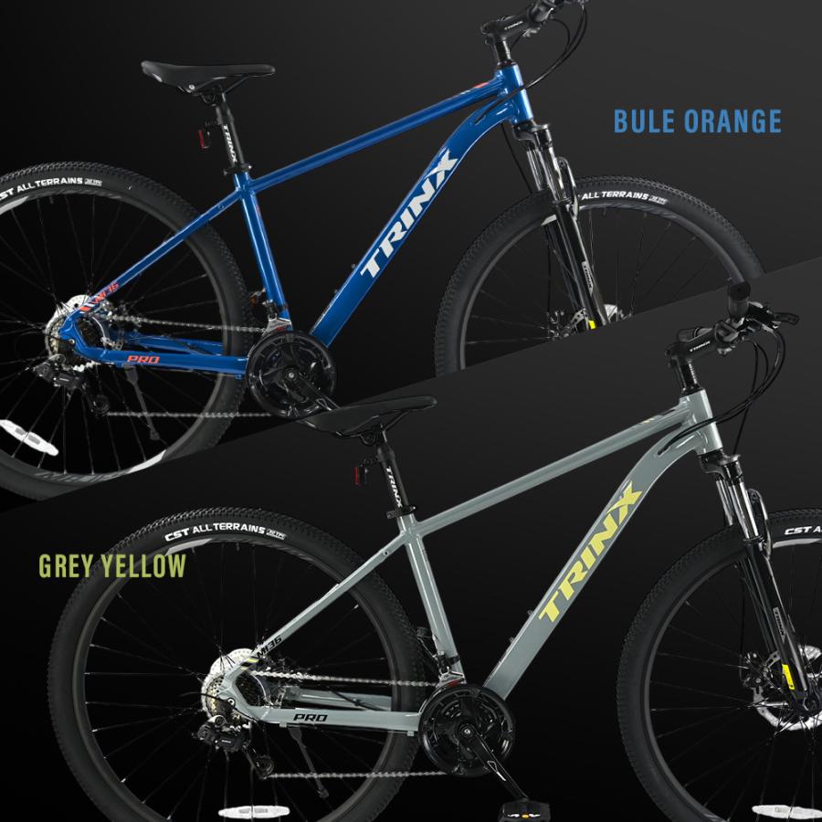 TRINX（トリンクス） マウンテンバイク 自転車 MTB 29インチ シマノ21