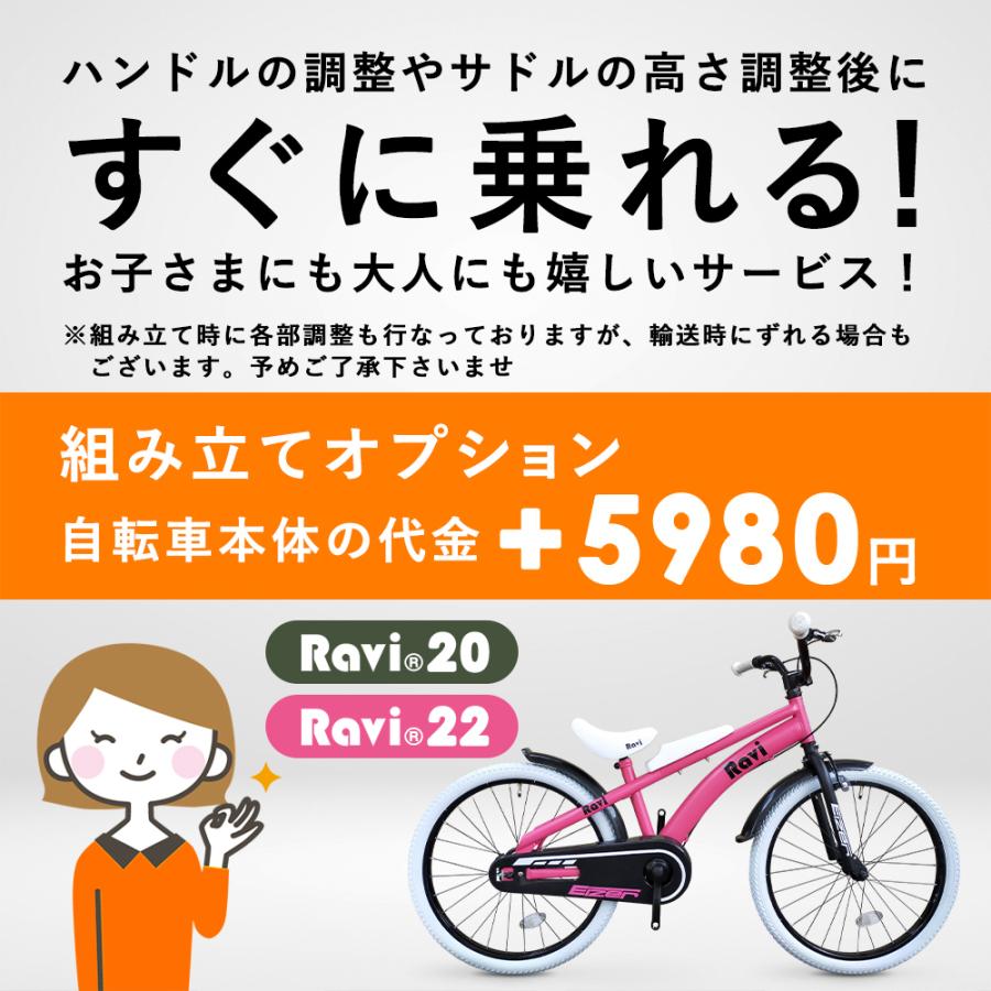 ファーム ラフ睡眠 詳細な 小学 一年生 自転車 22 インチ トマト 剥離 有名人