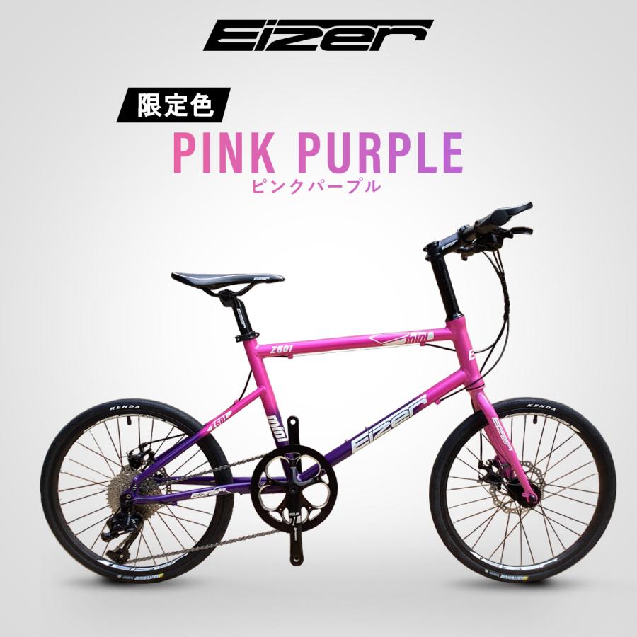 EIZER ミニベロ 軽量 20インチ 自転車 小径車 シマノ 8段変速 EIZER ミニベロ 軽量 20インチ 自転車 小径車 シマノ 8段変速