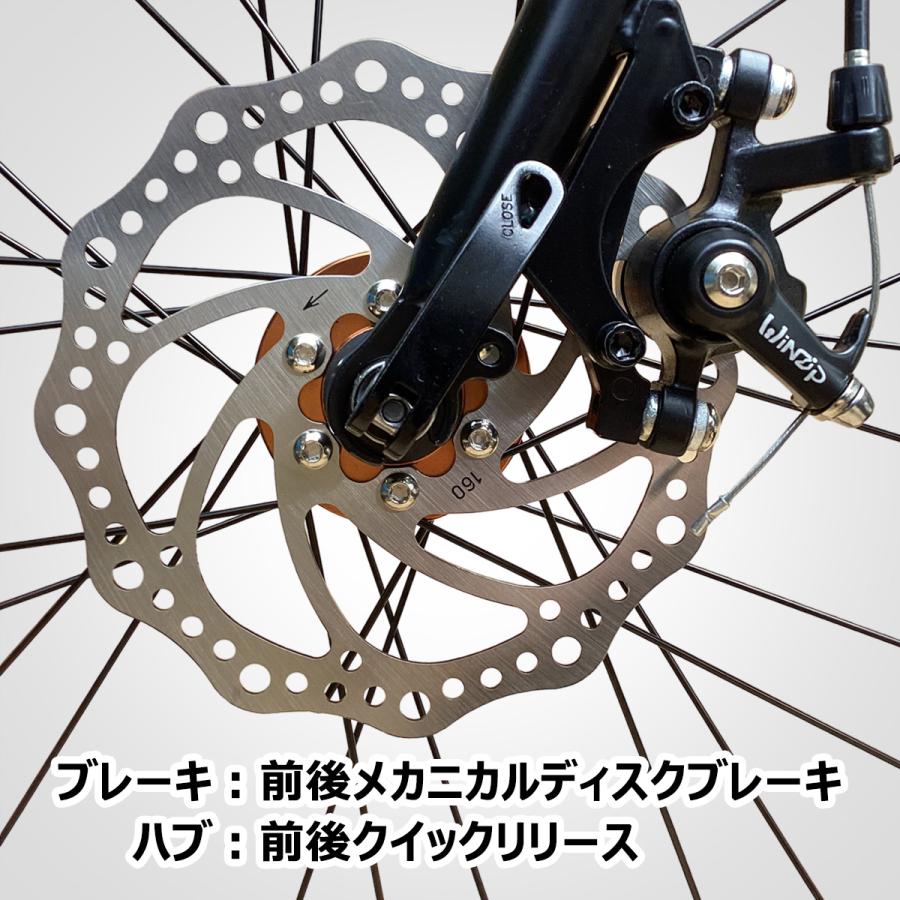 EIZER ミニベロ 軽量 20インチ 自転車 小径車 シマノ 8段変速 EIZER ミニベロ 軽量 20インチ 自転車 小径車 シマノ 8段変速