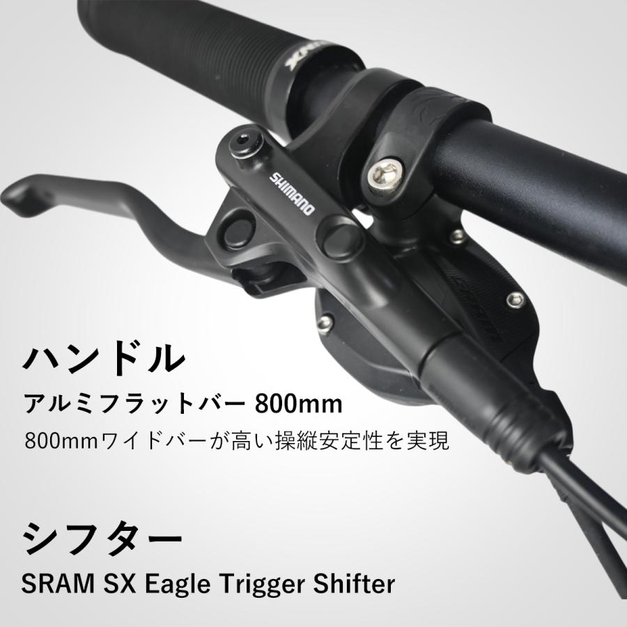 カーボンフレーム 12速 MTB 楽天市場】Totem自転車 Pegasus カーボンフレーム マウンテン