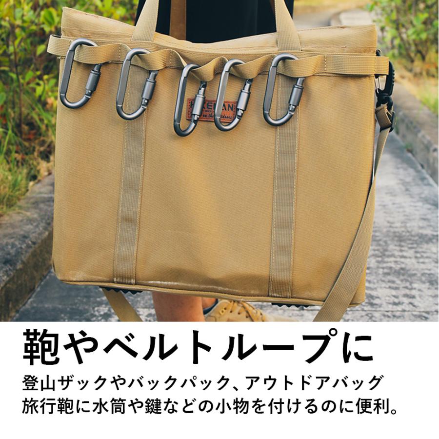 EIZER CAMP カラビナ ネジロック機能 スクリューロック 単品 D型