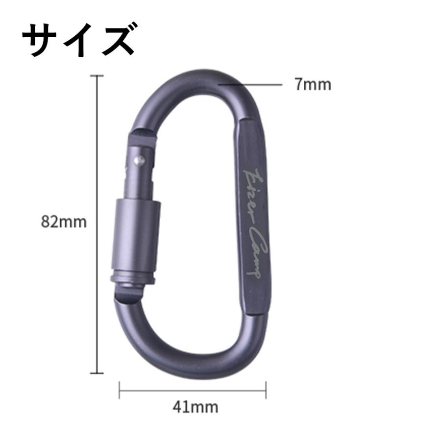 キャンプツールボックス・トング・カラビナ EIZER CAMP カラビナ ネジロック機能 スクリューロック 単品 D型