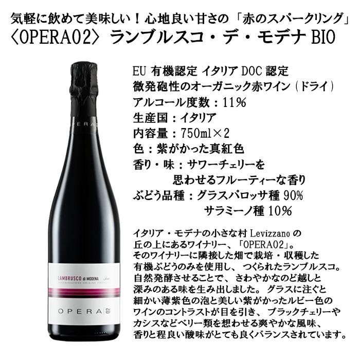 【5/25は逸酒創伝の日！5%OFFクーポン有！】山晃食品 デリシャエール OPERA02ランブルスコ×肉バルセット  新発売    のし・ギフト・サンプル各種対応不可｜isshusouden-2｜03