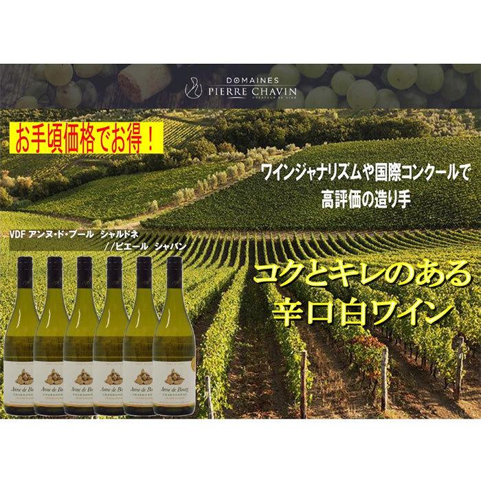 【5/15は逸酒創伝の日！5%OFFクーポン有！】白ワイン ヴァン ド フランス アンヌ ド ブール シャルドネ 750ml 6本 のし・ギフト・サンプル各種対応不可｜isshusouden-2｜02