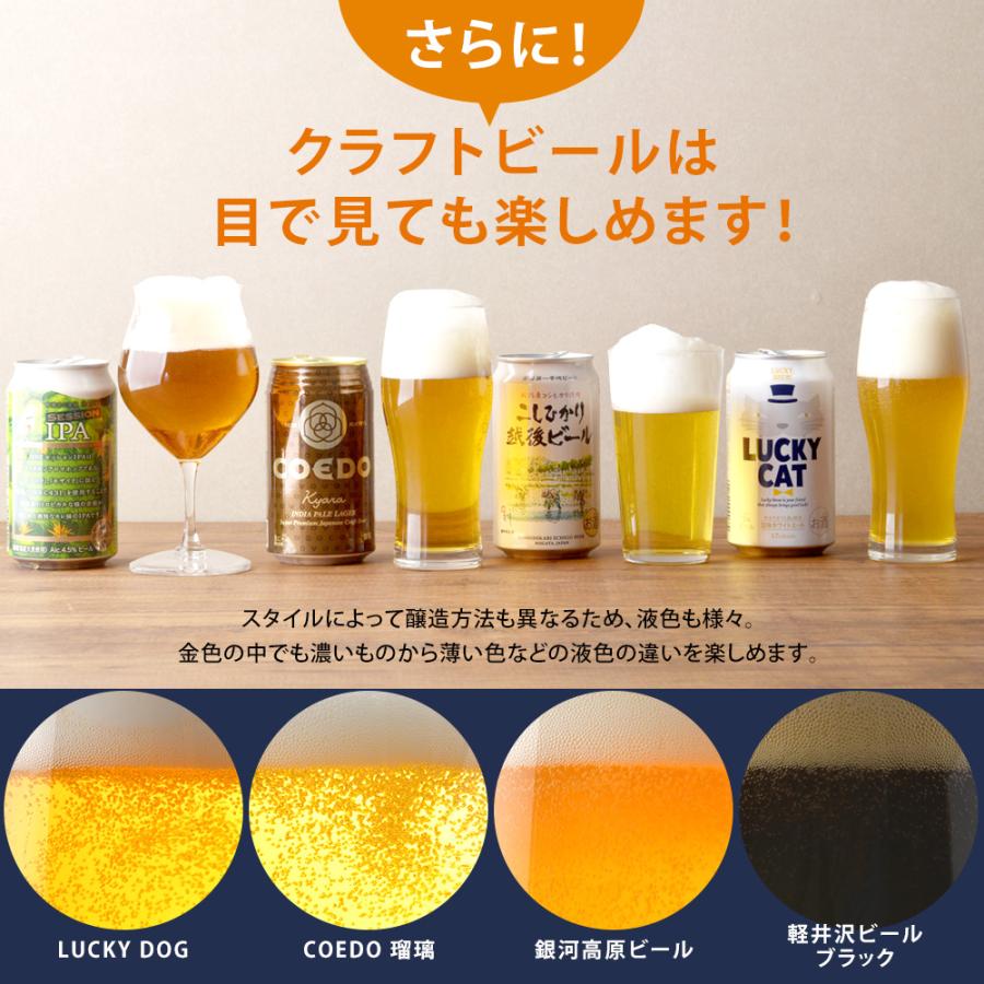 クラフトビール 飲み比べ １８本 逸酒創伝 オリジナルギフト｜isshusouden-2｜12