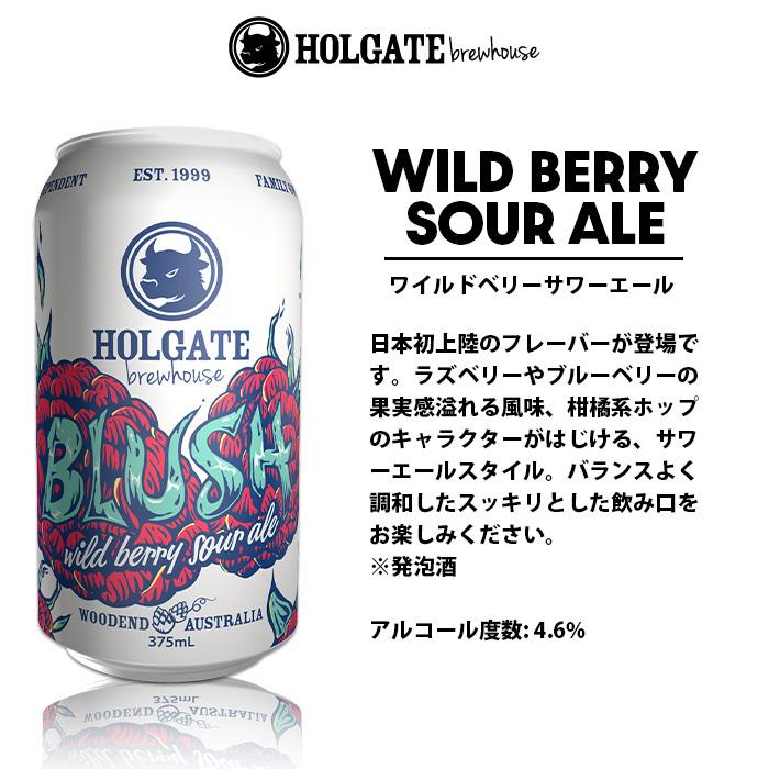 父の日 ビール ビール オーストラリア HOLGATE ホルゲート ブラッシュ ワイルドベリー サワーエール 缶 375ml 24本 ( 1ケース ) クラフトビール お酒
