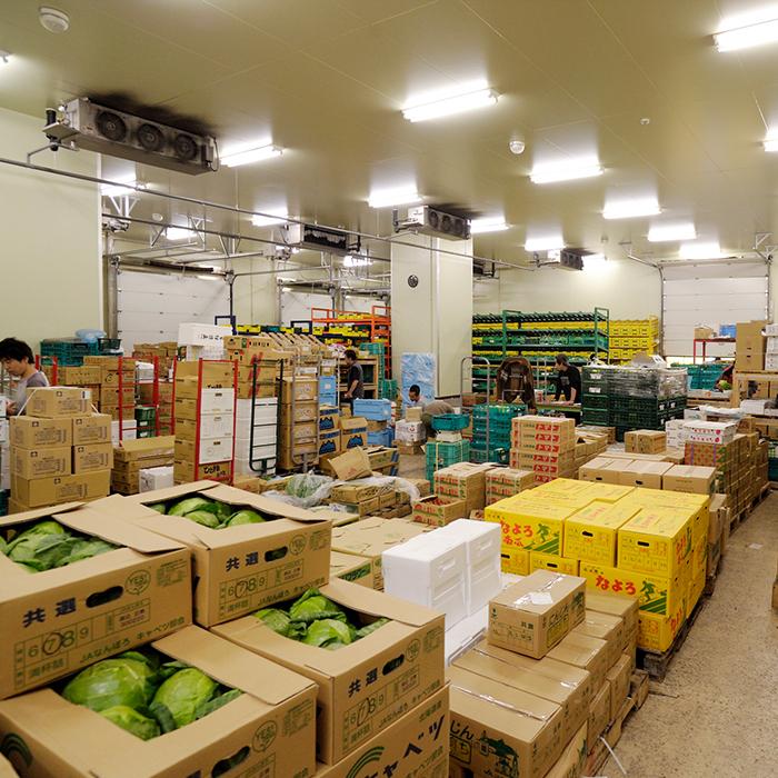 大田市場直送 一般野菜詰め合わせ 11 12品 季節野菜 株 大治 新発売 逸酒創伝 弐号店 通販 Yahoo ショッピング