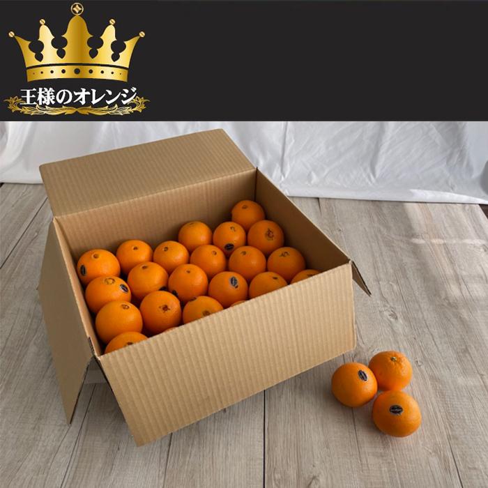 王様のオレンジ 113玉サイズ ハーフ 56個入 : 逸酒創伝 弐号店 - 通販