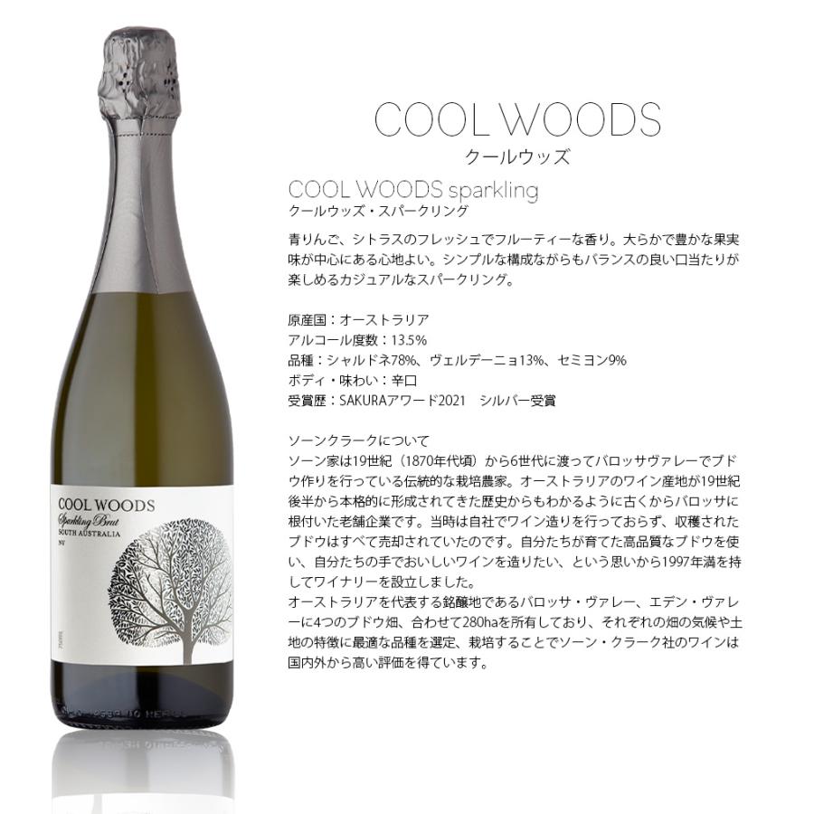 激安！！ロゼ ＆ カヴァ 入り！お買い得スパークリングワイン 6本 飲み
