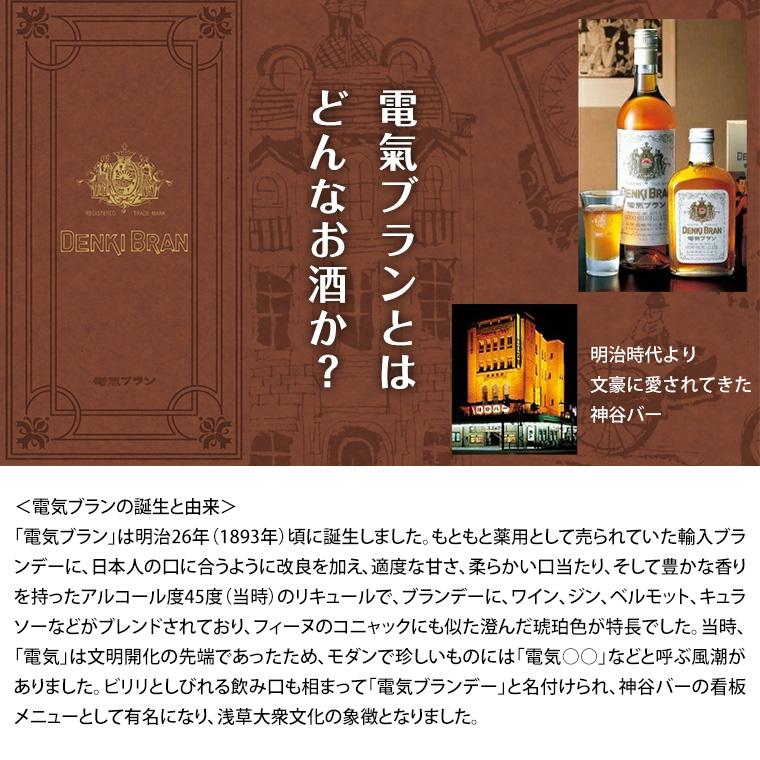 ハイボール 浅草ハイボール 電氣ブランサワー 350ml × 1ケース / 24本