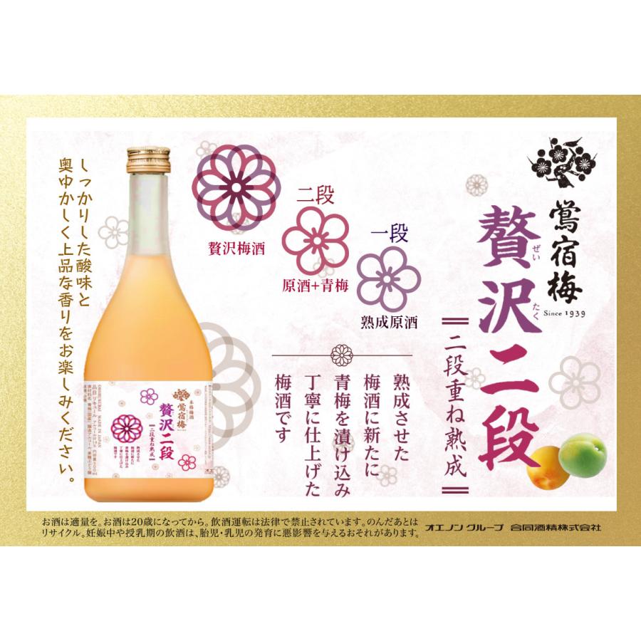 合同酒精 贅沢梅酒 500ml 2本 父の日 ギフト : 逸酒創伝 - 通販