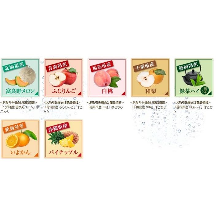 合同酒精 チューハイ NIPPON PREMIUM 愛媛県産いよかん ニッポン
