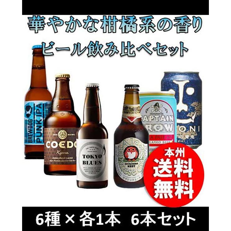 クラフトビール 地ビール クラフトビール 柑橘系の香り エールビール6本飲み比べセット Beer 逸酒創伝 通販 Paypayモール