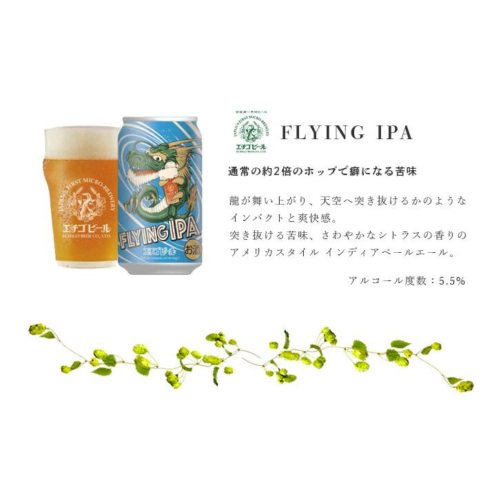 ビール 人気銘柄が集合！ クラフトビール IPA 6種飲み比べアソート 缶