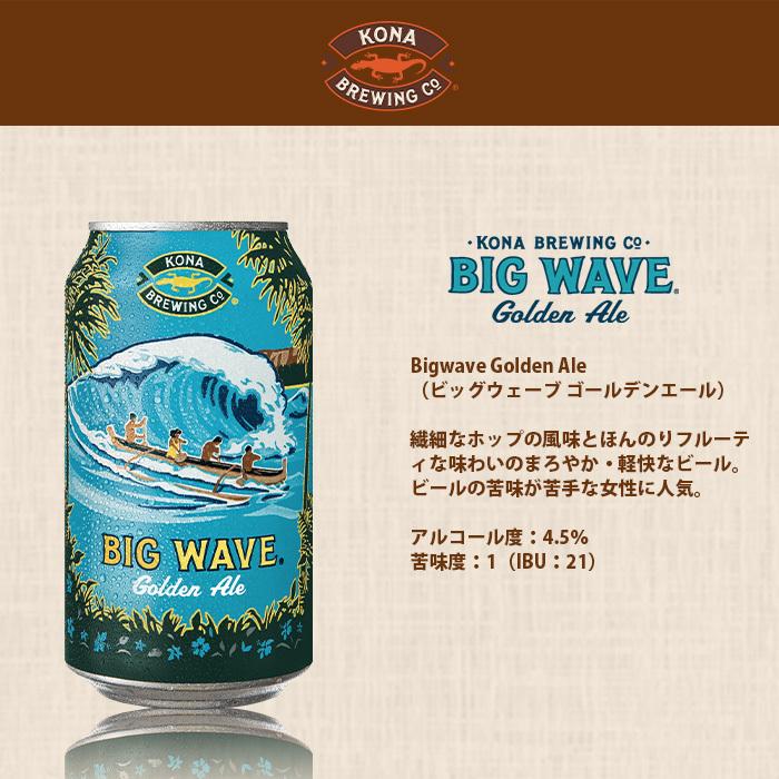 ビール ハワイ KONA BEER コナビール 缶2種6本(ビッグウェーブ・ロング