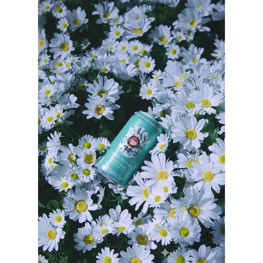 限定品 常陸野ネスト デイジーエール 缶 350ml 48本 2ケース クラフト