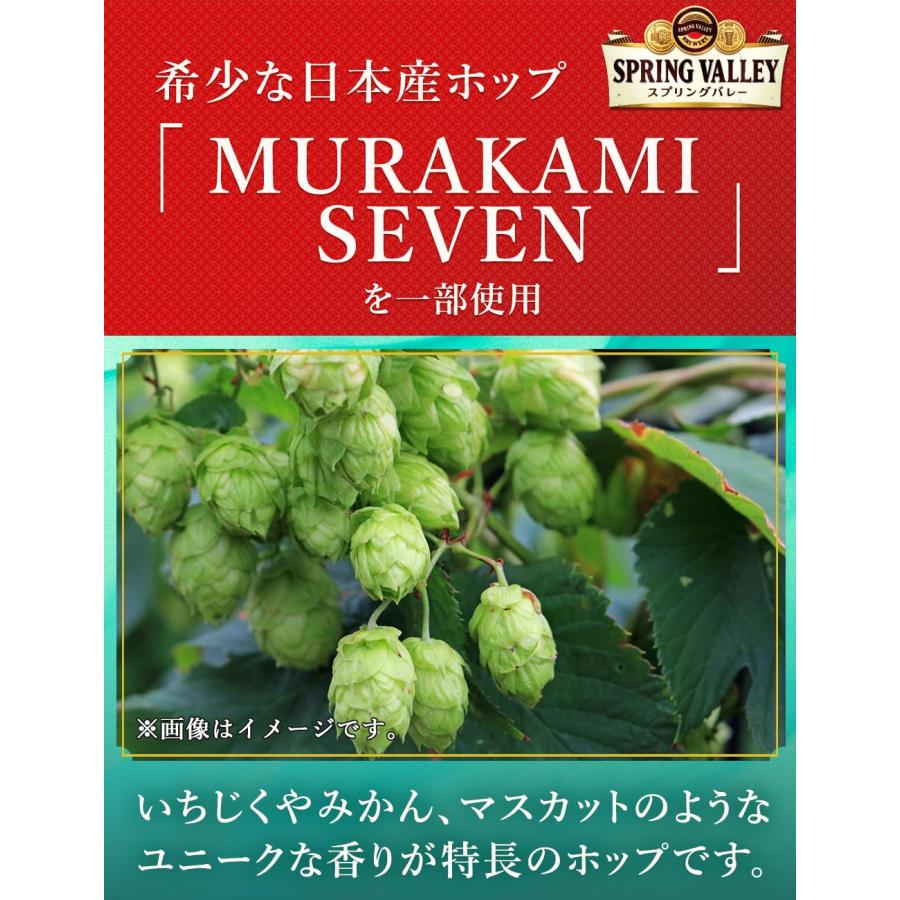 キリン スプリングバレー ジャパンエール 香 SPRING VALLEY JAPAN ALE  350ml 缶 24本 ( 1ケース )【2023年10月24日発売！25日以降のお届け】 既発売    10/24｜isshusouden｜05