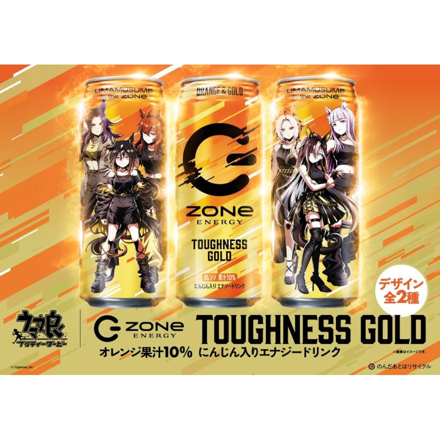 SUNTORY（サントリー） ZONe ENERGY TOUGHNESS GOLD 500ml × 2ケース