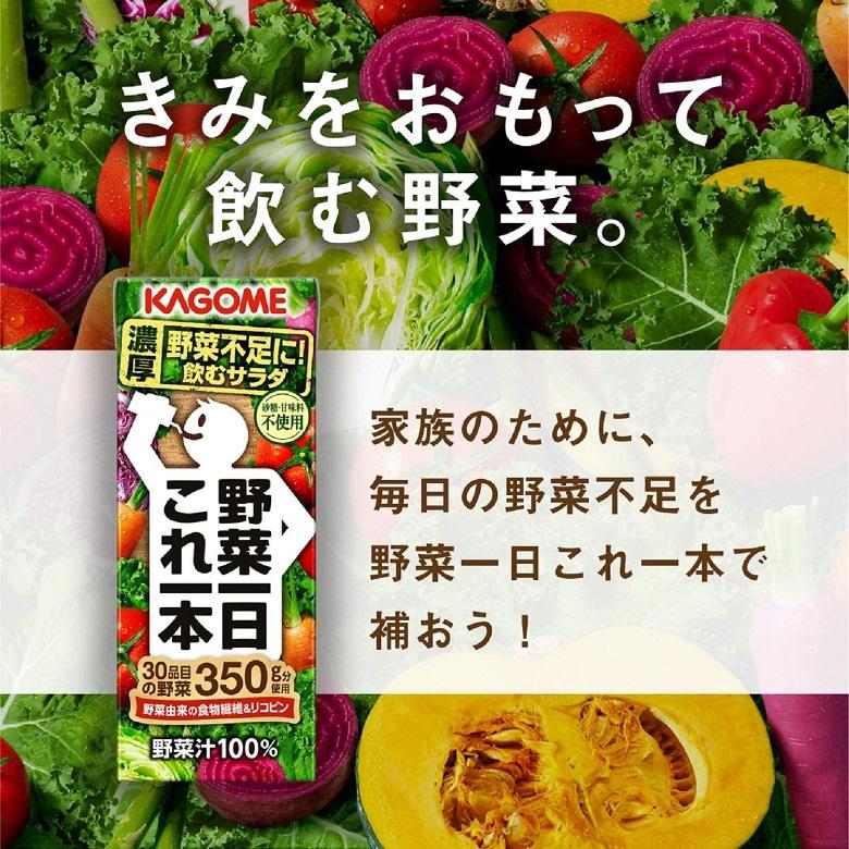 野菜一日これ一本 カゴメ 200ml 24本 3ケース 父親 誕生日 プレゼント
