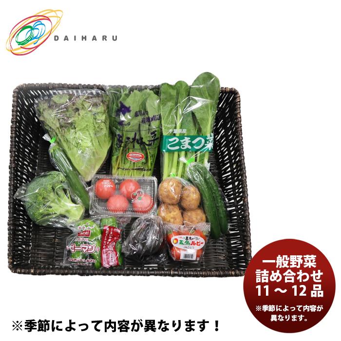 大田市場直送 一般野菜詰め合わせ 11〜12品 季節野菜 大治 父親 誕生日