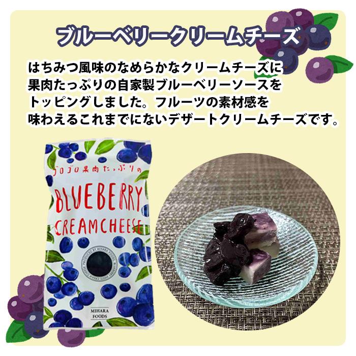 三原食品 ブルーベリークリームチーズ 10パックセット 父の日 のし