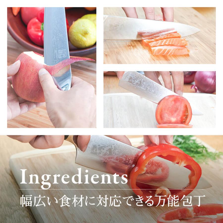 issiki 包丁 ダマスカス 牛刀包丁 VG10 ISSIKI 20cm 送料無料 V金10号