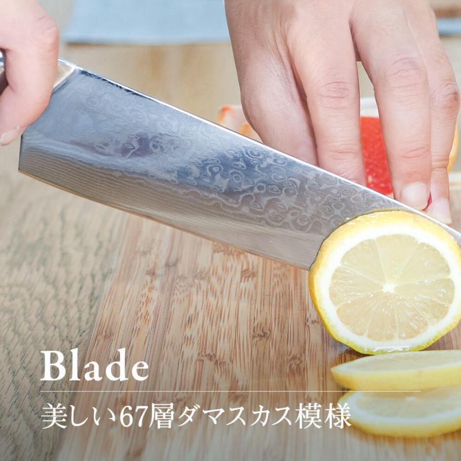 issiki 包丁 ダマスカス 牛刀包丁 VG10 ISSIKI 20cm 送料無料 V金10号