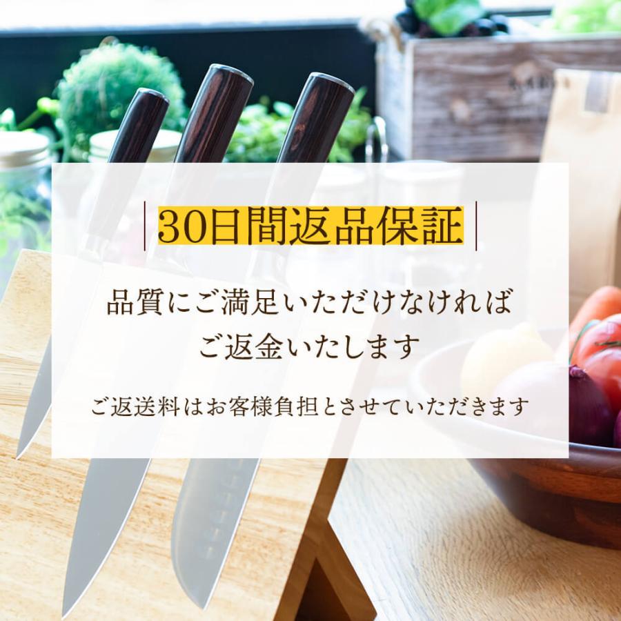 issiki 包丁 ペティナイフ 12cm ISSIKI 送料無料 ステンレス 小さい