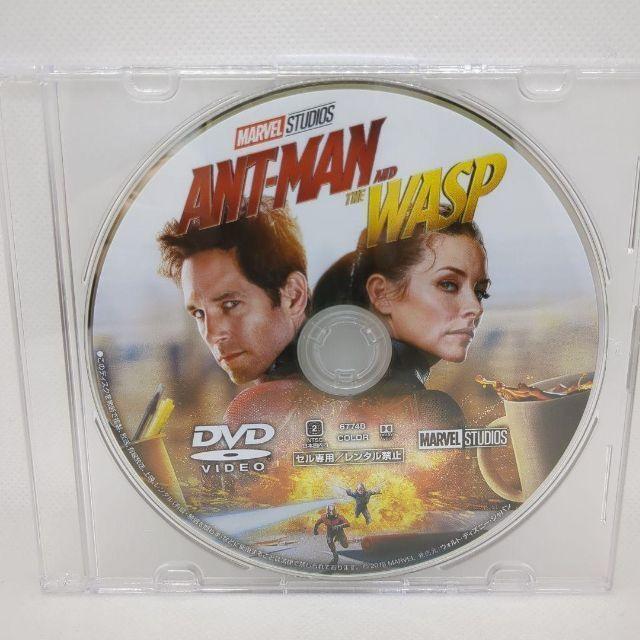 アントマン&ワスプ MovieNEX [DVDのみ] | MARVEL | 01