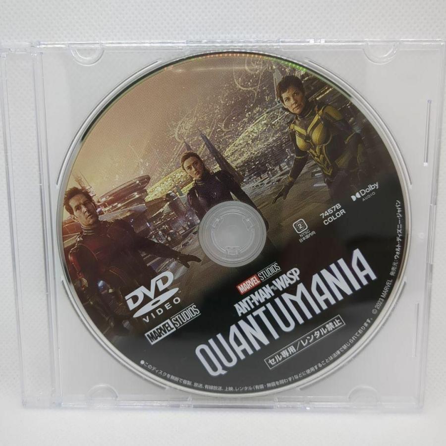 アントマン＆ワスプ：クアントマニア MovieNEX DVDのみ | MARVEL | 01
