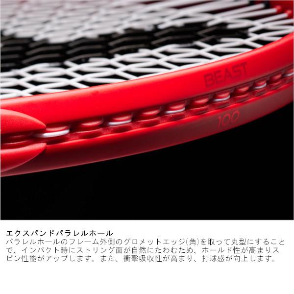 Prince（プリンス） 《送料無料》prince BEAST DB 100(280g) 7TJ204
