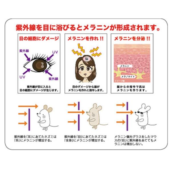 Prince（プリンス） 《送料無料》Prince メラニン偏光レンズ付