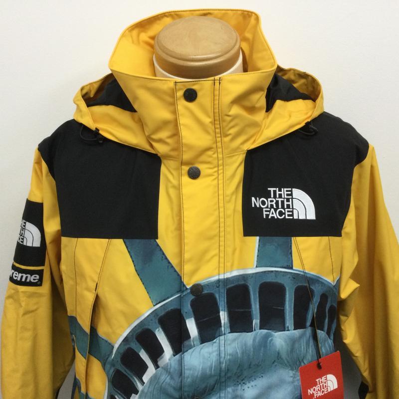 シュプリーム×ノースフェイス NP619021 STATUE OF LIBERTY MOUNTAIN 