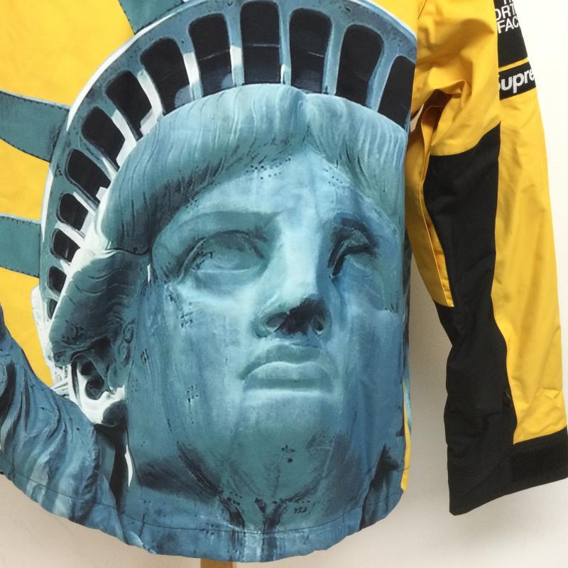 シュプリーム×ノースフェイス NP619021 STATUE OF LIBERTY MOUNTAIN 