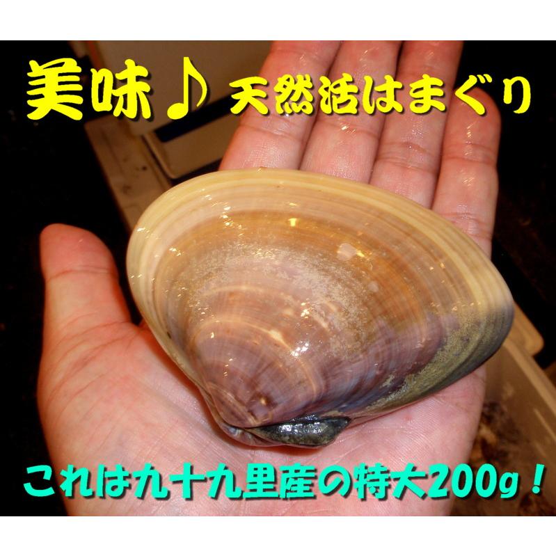 極上国産特大活天然はまぐり Jihama 001 築地イストマーケット 通販 Yahoo ショッピング
