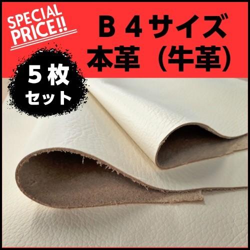 B４サイズ ５枚セット 本革 アイボリー 在庫処分品 小物作りに 9デシ ５ スペシャルプライス B4set Kawa イスのことなら 通販 Yahoo ショッピング