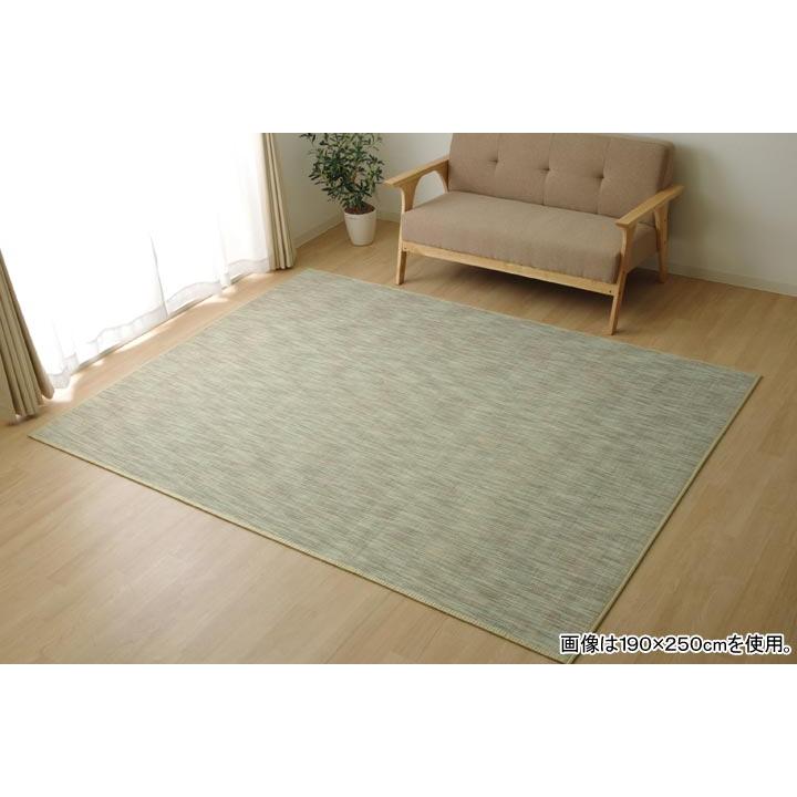 イケヒコ ラグ カーペット 無地 シンプル バンブー 竹 『DXフォース