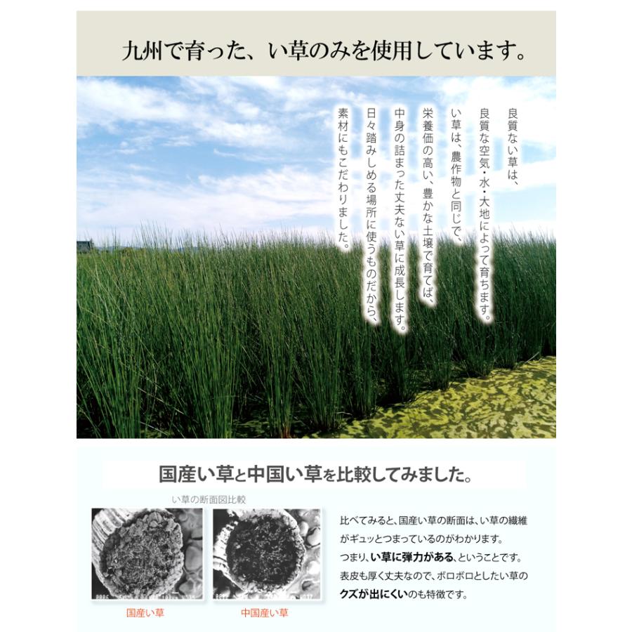 玄関 マット 室内 日本製 国産 い草 自然素材 グラデーション カジュアル 【ベージュ】 約60×90 8819860 | イケヒコ | 03