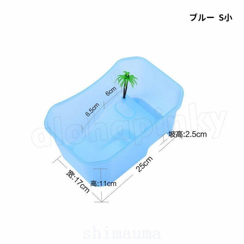 【みどりがめ】 ニセチズガメの基本情報と飼育方法……ヌマガメの仲間！ [爬虫類