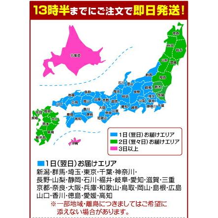 喪服 レンタル 夏用 着物 7〜8月向け 絽喪服 あすつく 土日発送可 夏物