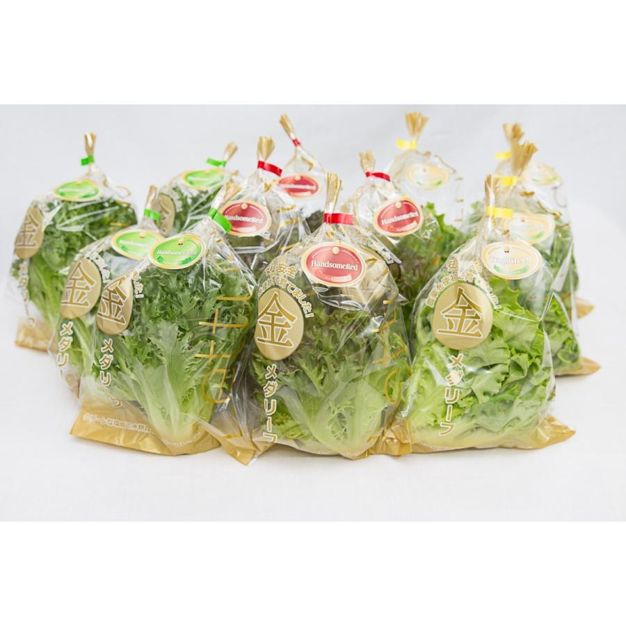 リーフレタス 3種類を各1個ずつ 3個入り 農薬を使っていないので安心 安全 無農薬 Leaflettuce Itファーム オンラインショップ 通販 Yahoo ショッピング