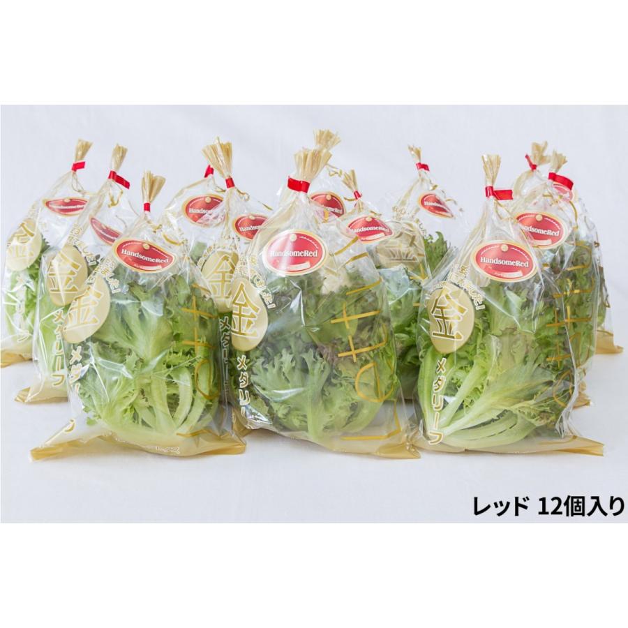 リーフレタス レッド 12個入り 農薬を使っていないので安心 安全 無農薬 Leaflettucehansamured12 Itファーム オンラインショップ 通販 Yahoo ショッピング